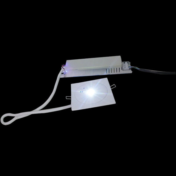 110V 220V IP20 εσωτερική οροφή τοποθετημένη ανάγλυφο φωτισμό έκτακτης ανάγκης 3W SMD Λευκό LED